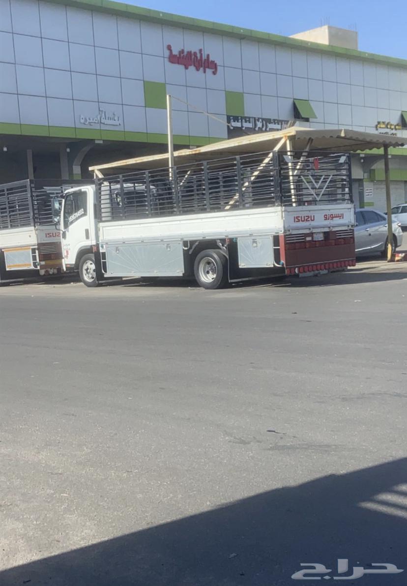 دينا دينه نقل عفش ومشاوير64594147895297111