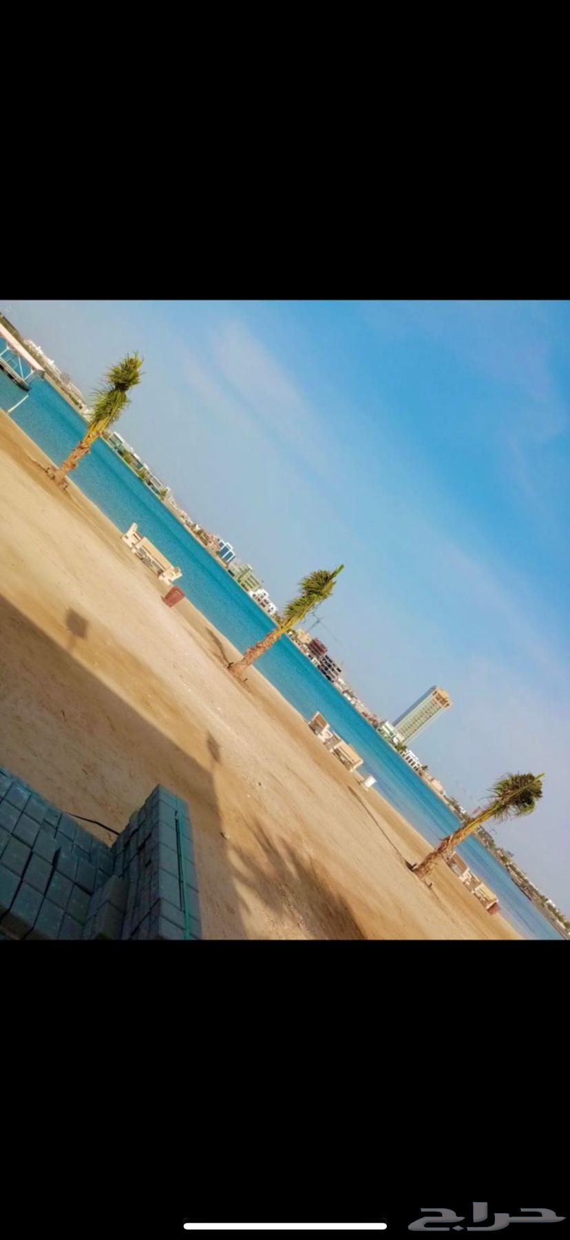 Beachfront chalet in Jeddah with pool and sea view64594098687619110