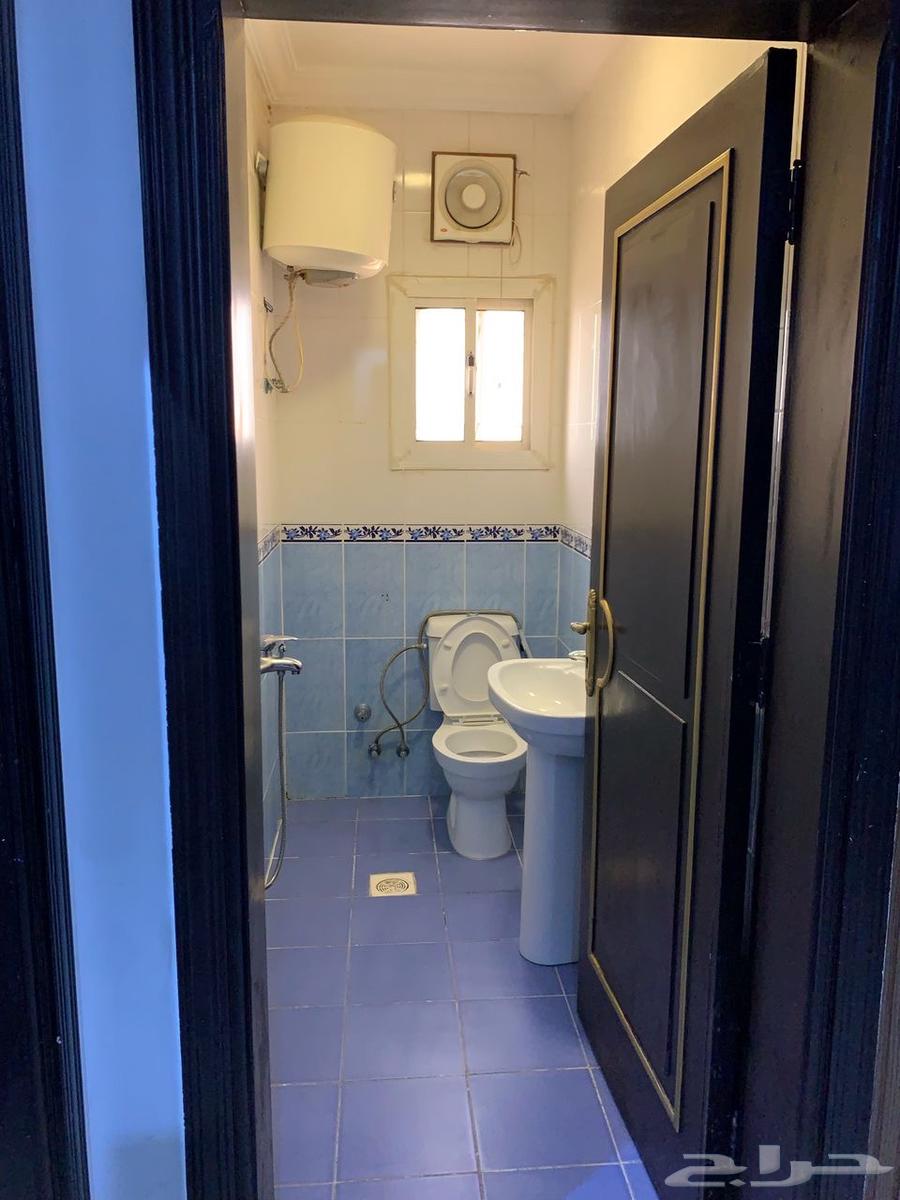 شقق مفروشة للإيجارات الشهرية بجدة64594097915521114