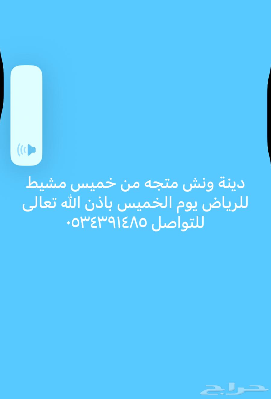 دينا ونش متجهه خميس مشبط للصياهد64613454114434110