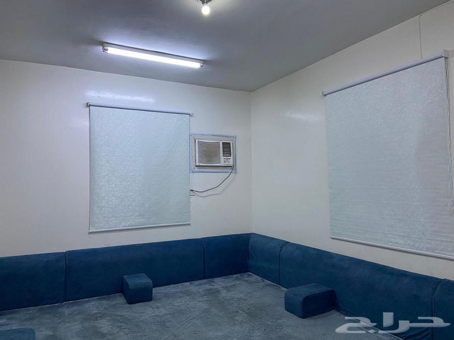 للإيجار شقة عزاب غرفة وصاله مفروشة نظيفة64606173698050112