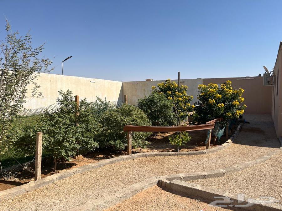 للتقبيل استراحه بحي عريض ب 13 الف سنوي64606275156483111