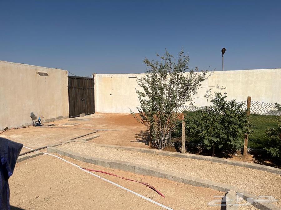 للتقبيل استراحه بحي عريض ب 13 الف سنوي64606275156483114