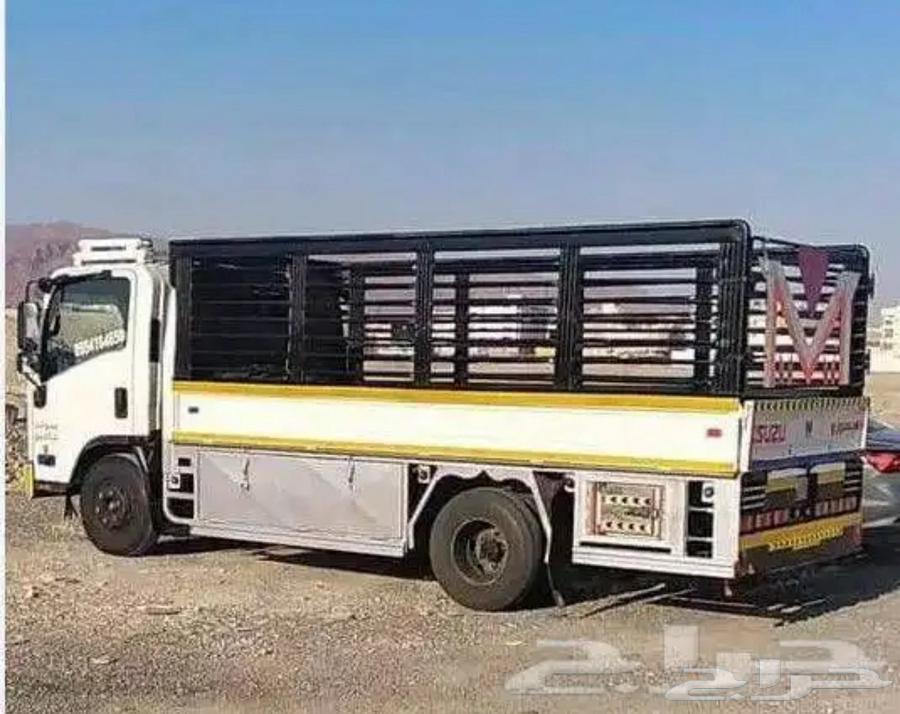 جده خارج دنه شحن نقل دينه دينا64606262519042110