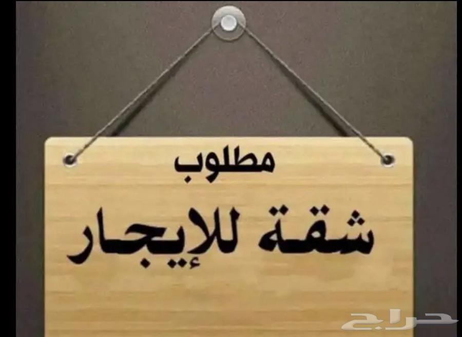 مطلوب شقة بجده للايجار السنوي غرفتين او 3 غرف او 4 غرف64606217726849110