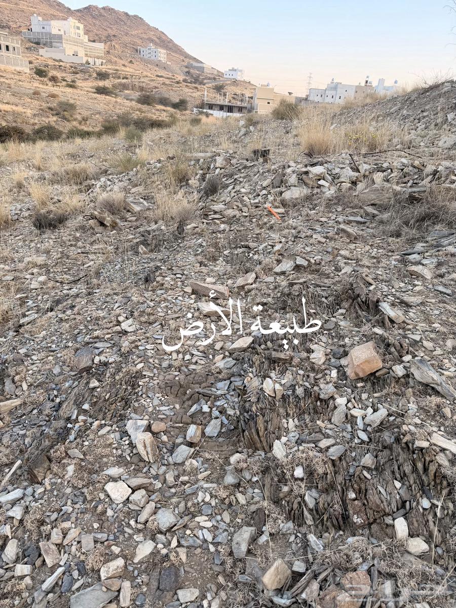 أرض للبيع أبها شامية ال عاصم 3 واجهات ب 340 الف64613412033409113