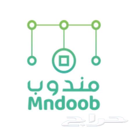 Airport Delivery and Pickup Agent64606418682114110