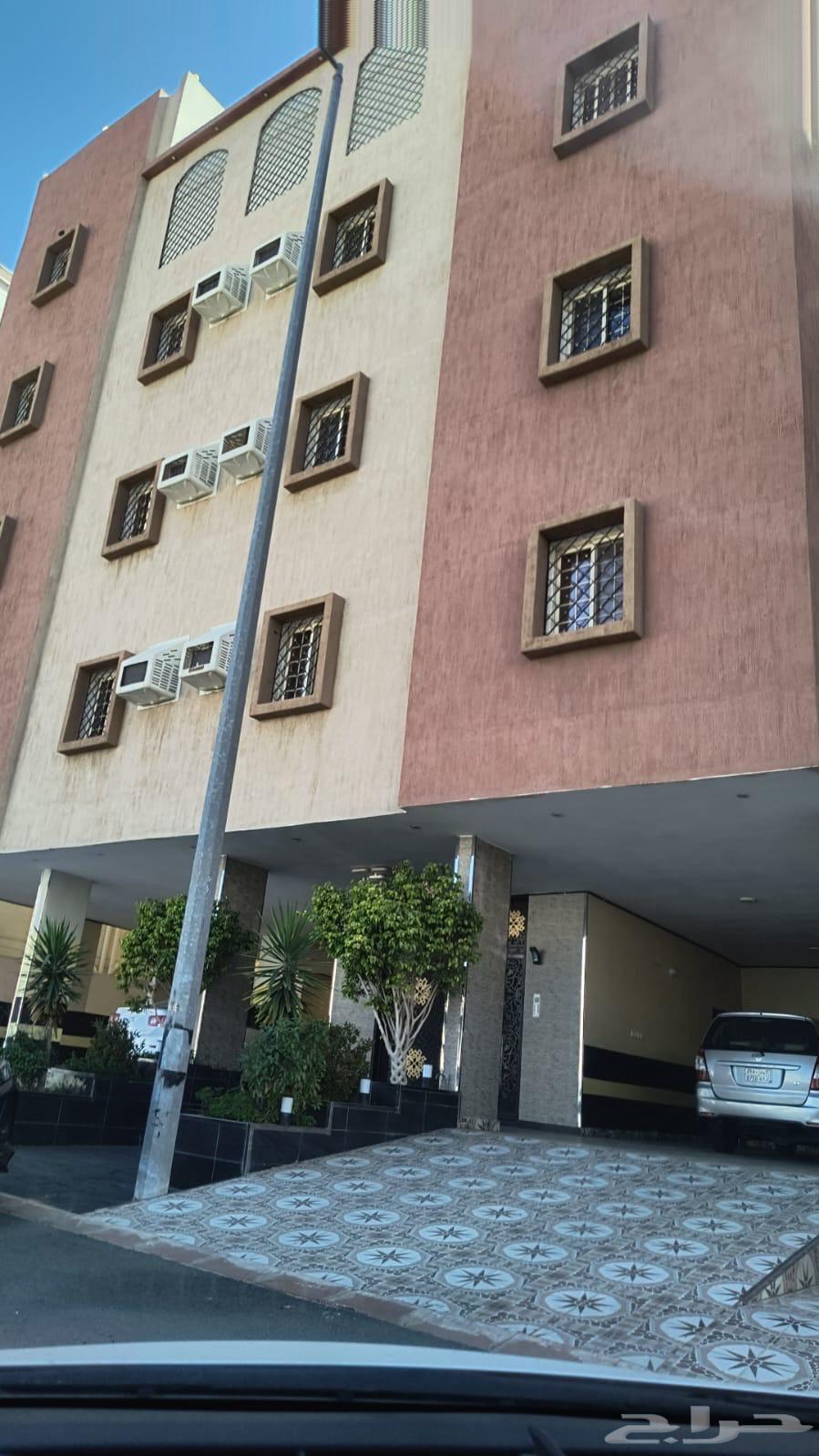 شقة للإيجار