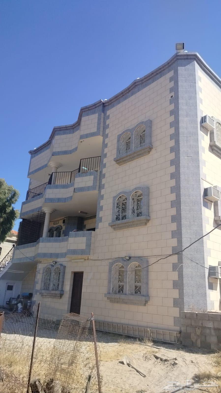 شقة للإيجار