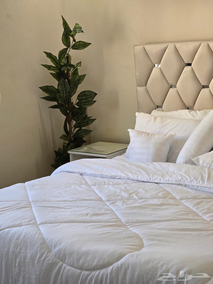 شقة للإيجار