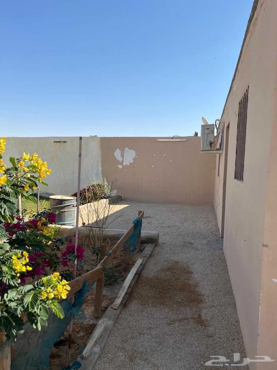 للتقبيل استراحه بحي عريض ب 13 الف سنوي64606275156483113