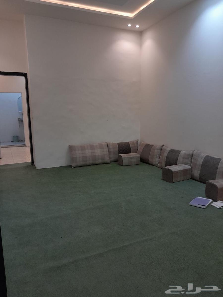 شقق عزاب مفروشه للايجار الشهري64606246387458110