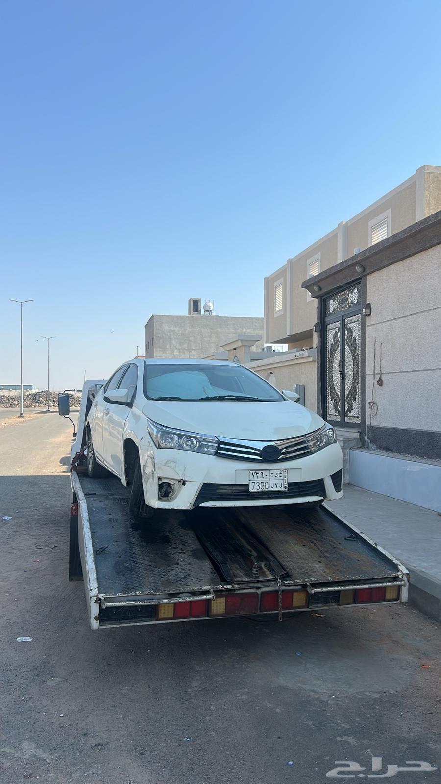 سطحه المدينه64619123894018110