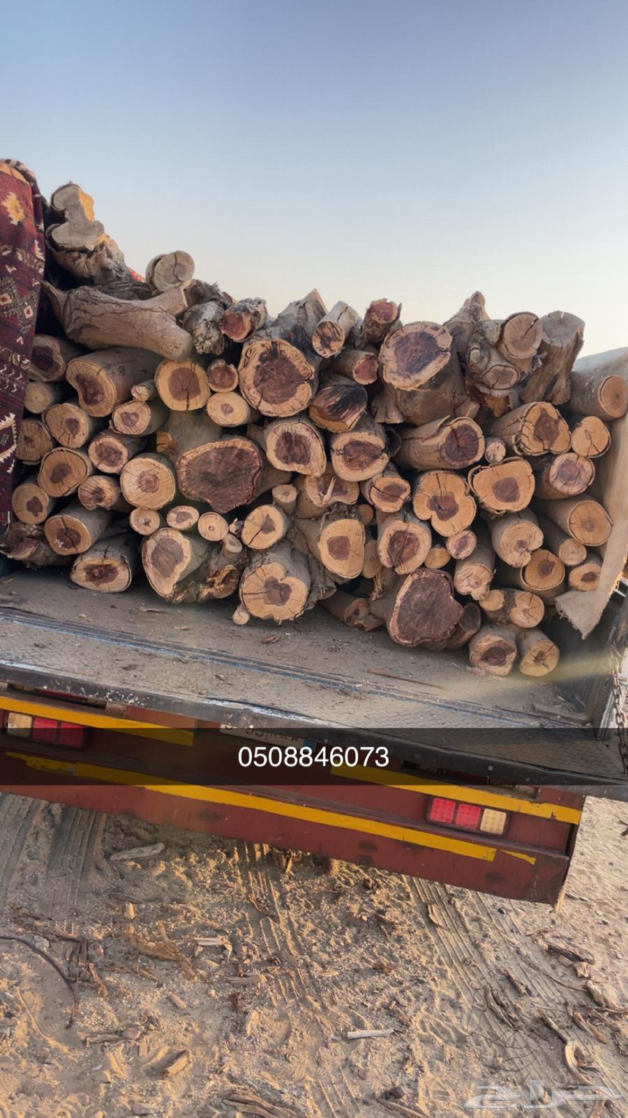 Imported Conditional Samer Date Seeds for Smoking or Other Uses64618978945794110