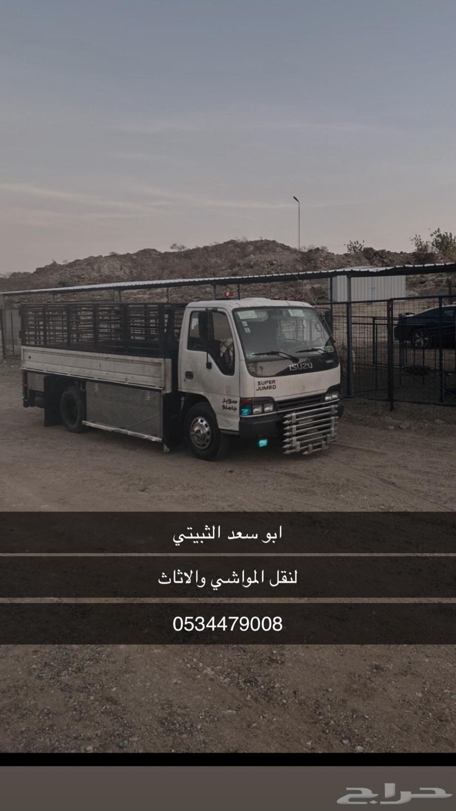 دينة للاجار اليومي لنقل الاثاث المواشي64618993548034110