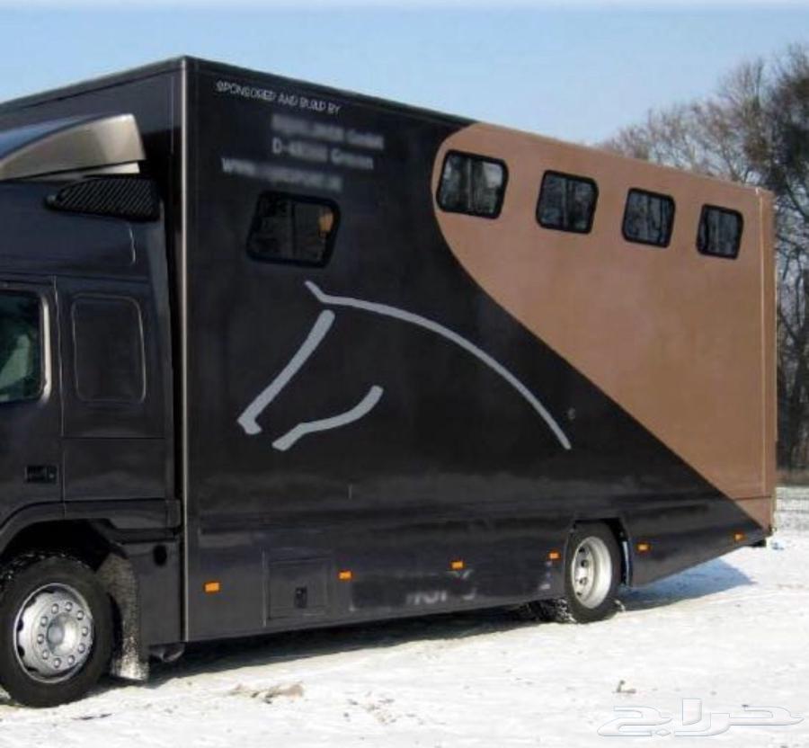 عربة خيل مشترك من المدينه لجده64613482589698110