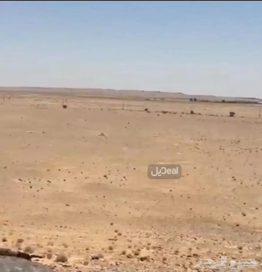 للبيع ارض زراعية في جانين64613439633281112