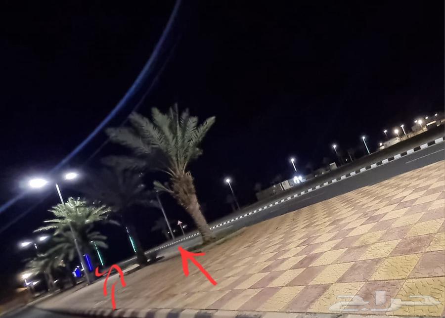 للبيع ارض ركنية على شارعين -حايل  بقعاء64618947884035110