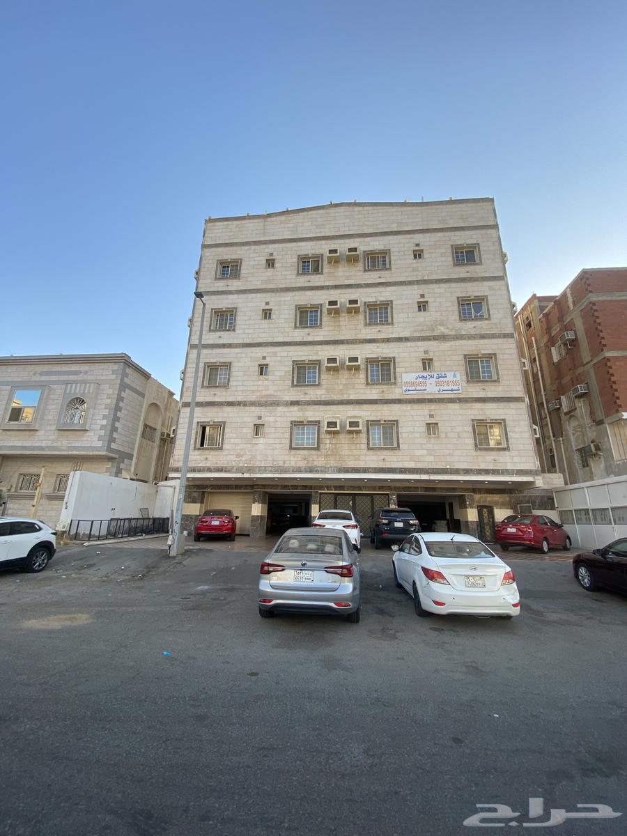 شقة للإيجار