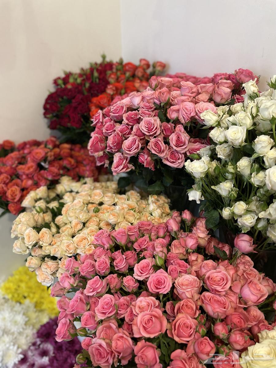 Jeddah Representative: Gifts, Roses, and Special Orders64619095574145110