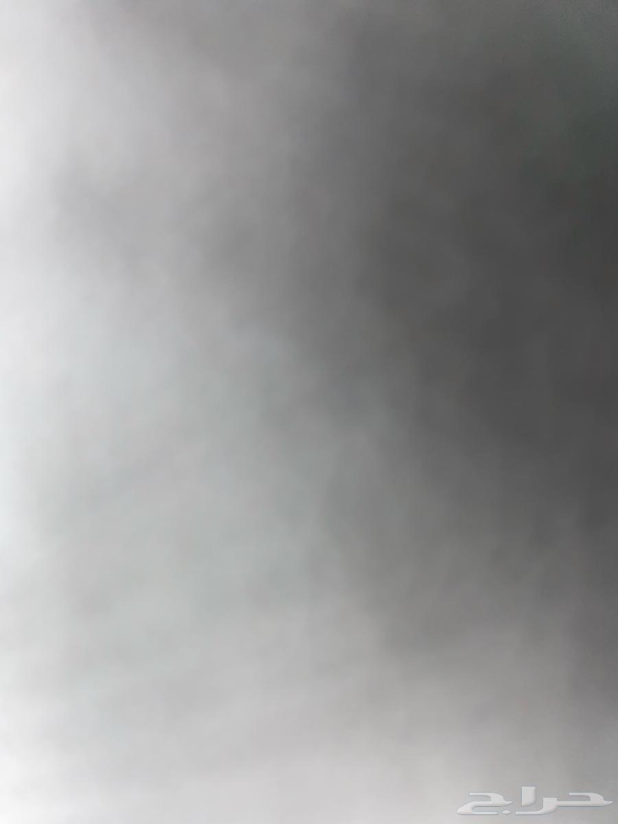 I want a bird whose price is 80 riyals, which is any bird64619152826627110