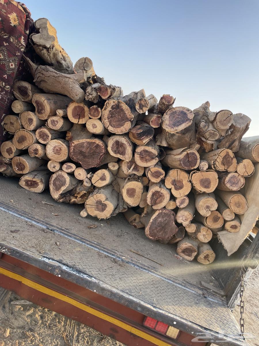 Imported Conditional Samer Date Seeds for Smoking or Other Uses64618978945794111