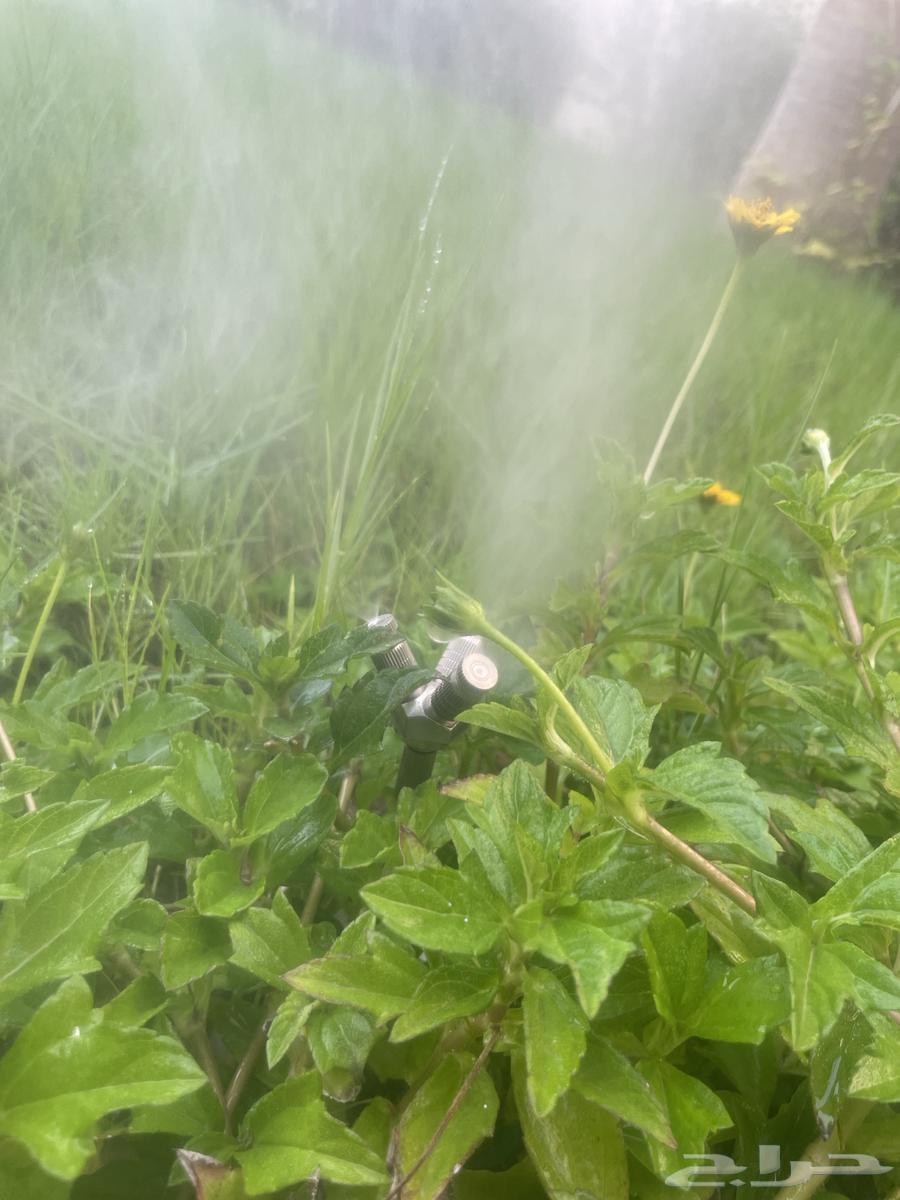 تركيب انظمه ضباب و رذاذ و فلاتر مويه64619108774785111