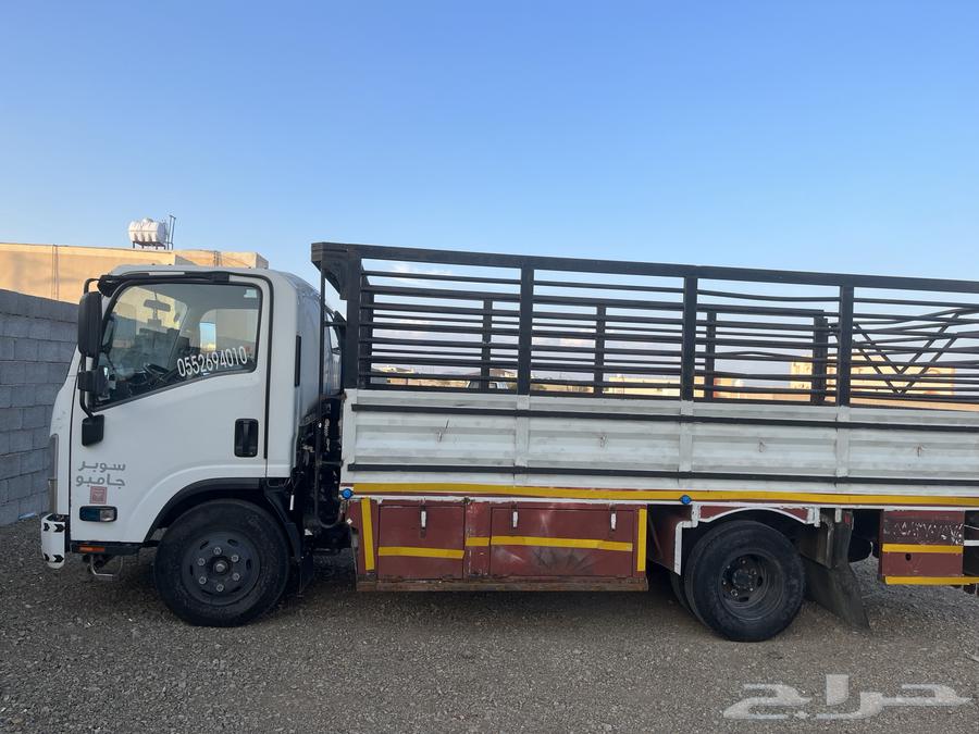 دينه شبك64613495089282110