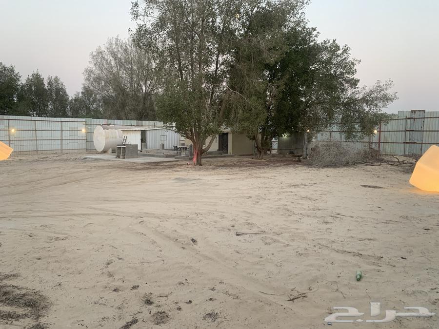 استراحة للأجار اليومي الهفوف الاحساء64618947339009112