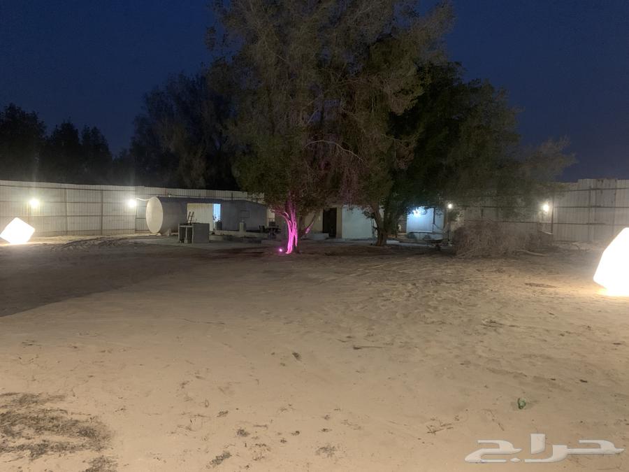 استراحة للأجار اليومي الهفوف الاحساء64618947339009113