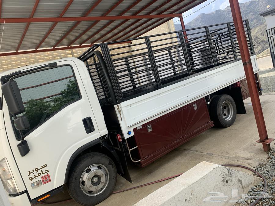 دينه لنقل64613482489987110