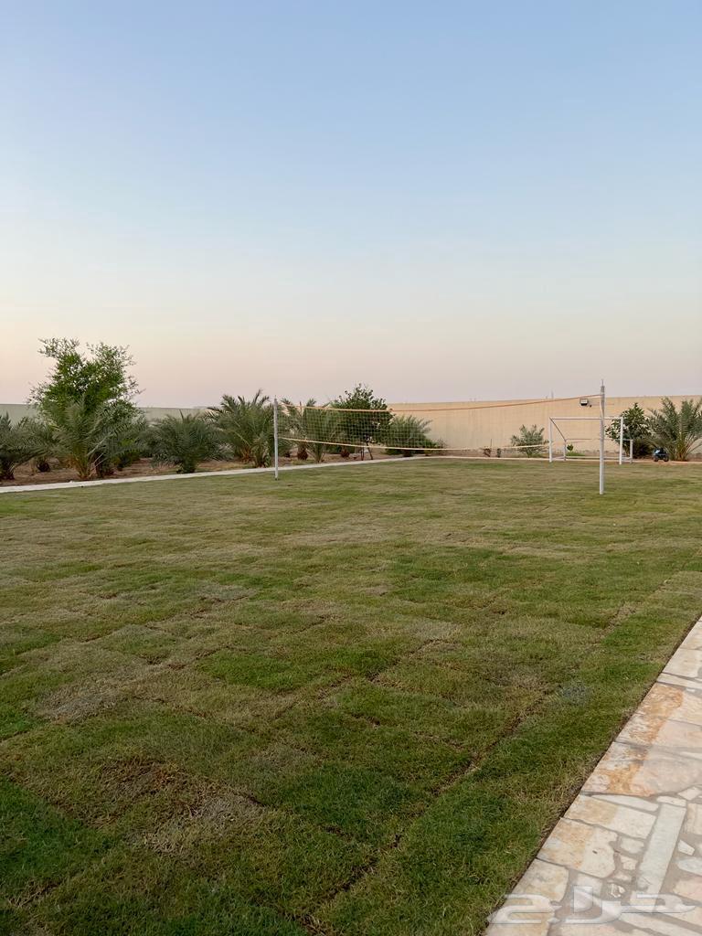 Al-Hamid Rest House for Daily Rental in Al-Qadhiyah/Dhurma, SAR 40064618932428674111