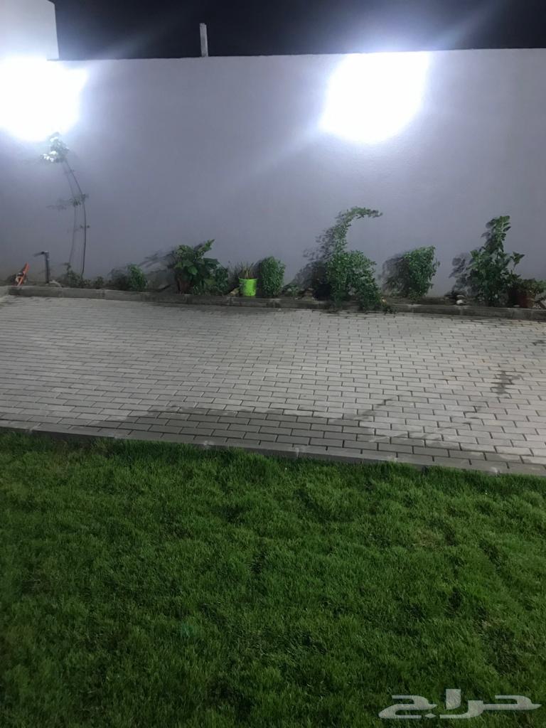 شاليه للايجار الشهري عزاب64613439683971112