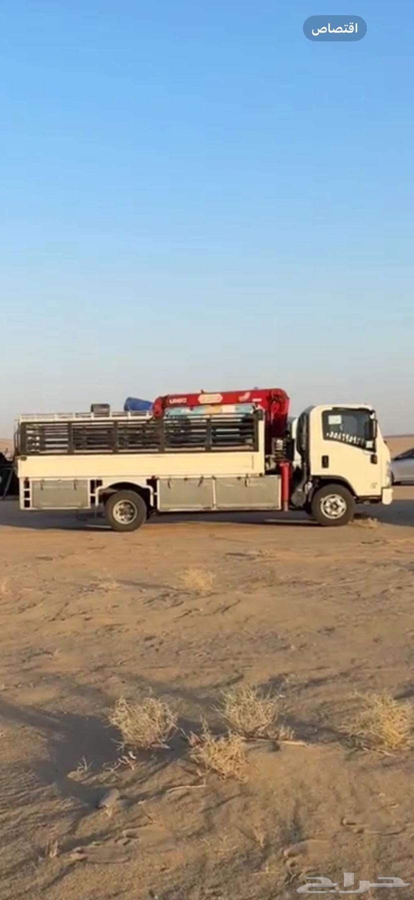 Dena Crane: Loading Camels and Machinery64618963094145110