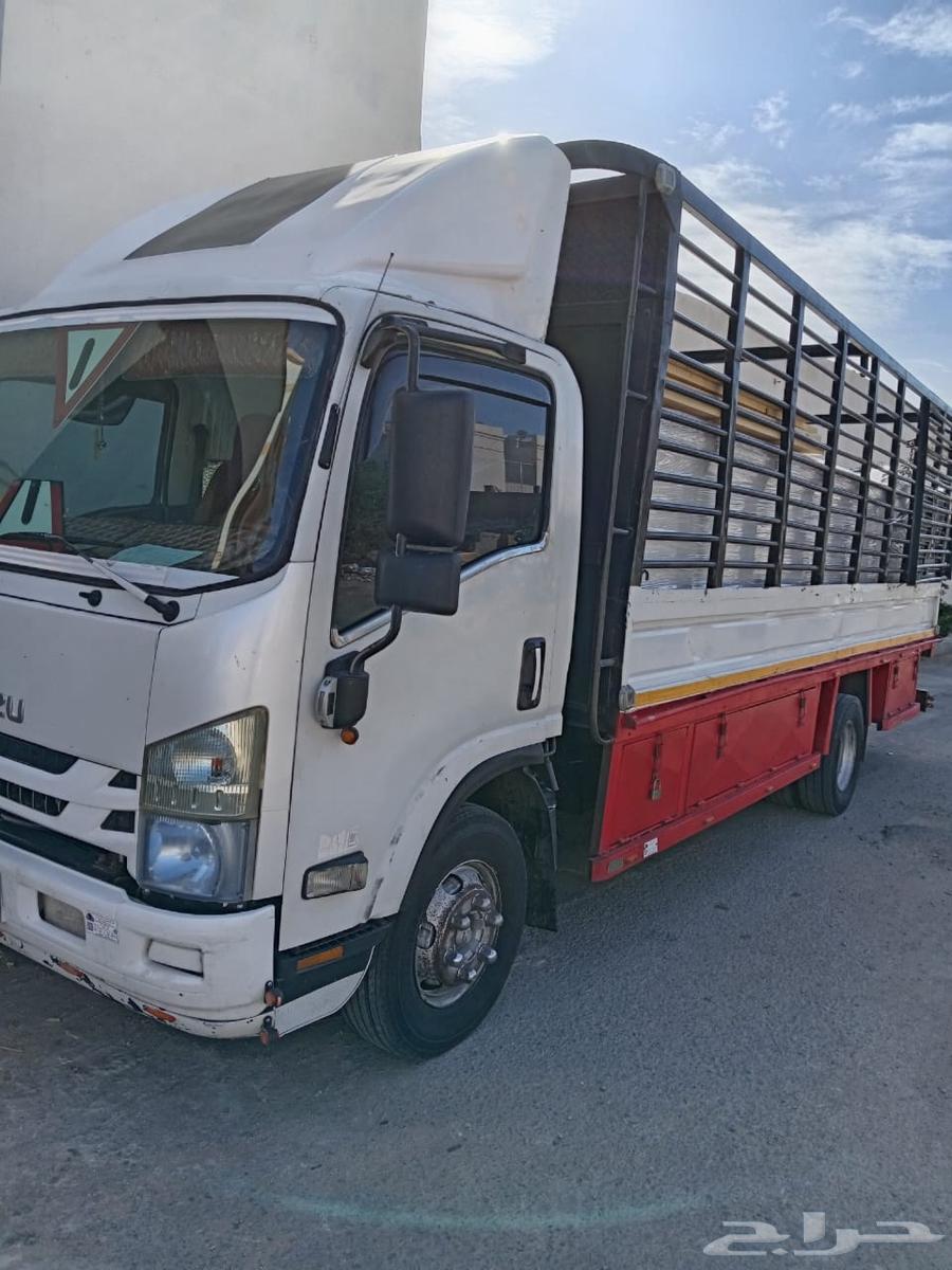 دينا كبيرة ستة متر للنقل والتوصيل من نجران إلى جميع مناطق64619036827395110