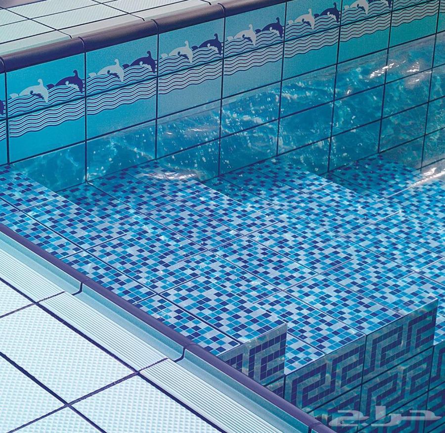 فني مسابح جاكوزي نوافير شلالات64631278288003114