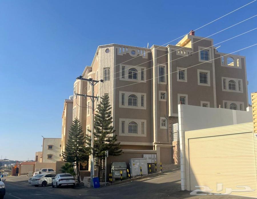 شقة للإيجار