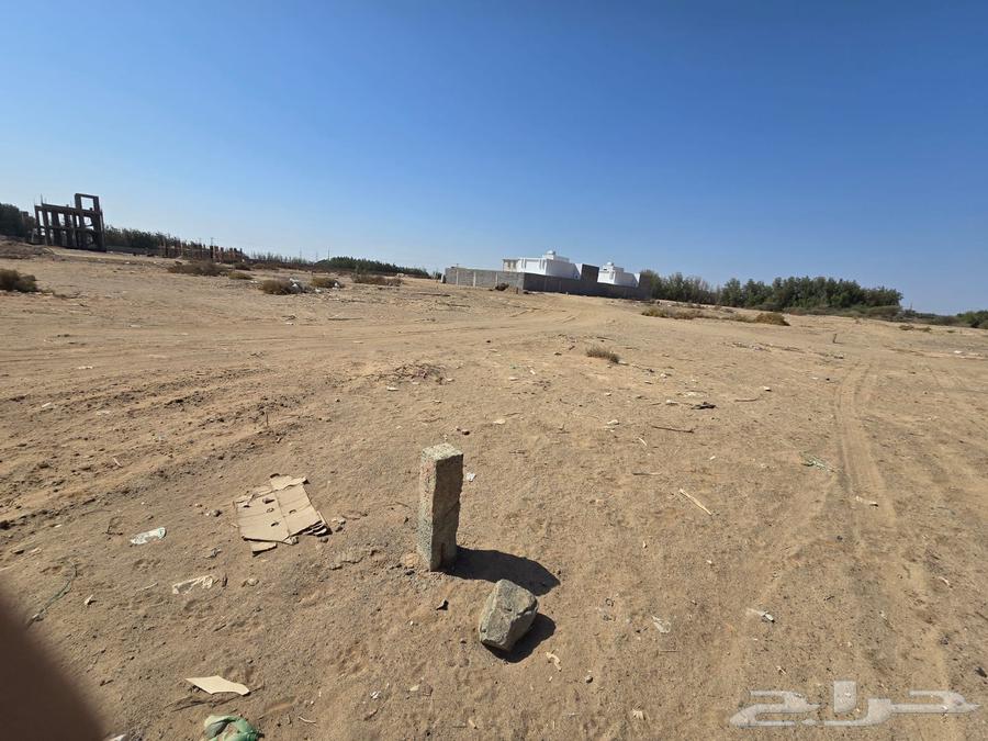 ارض للبيع في حي المرجانية برابغ64625544529795111