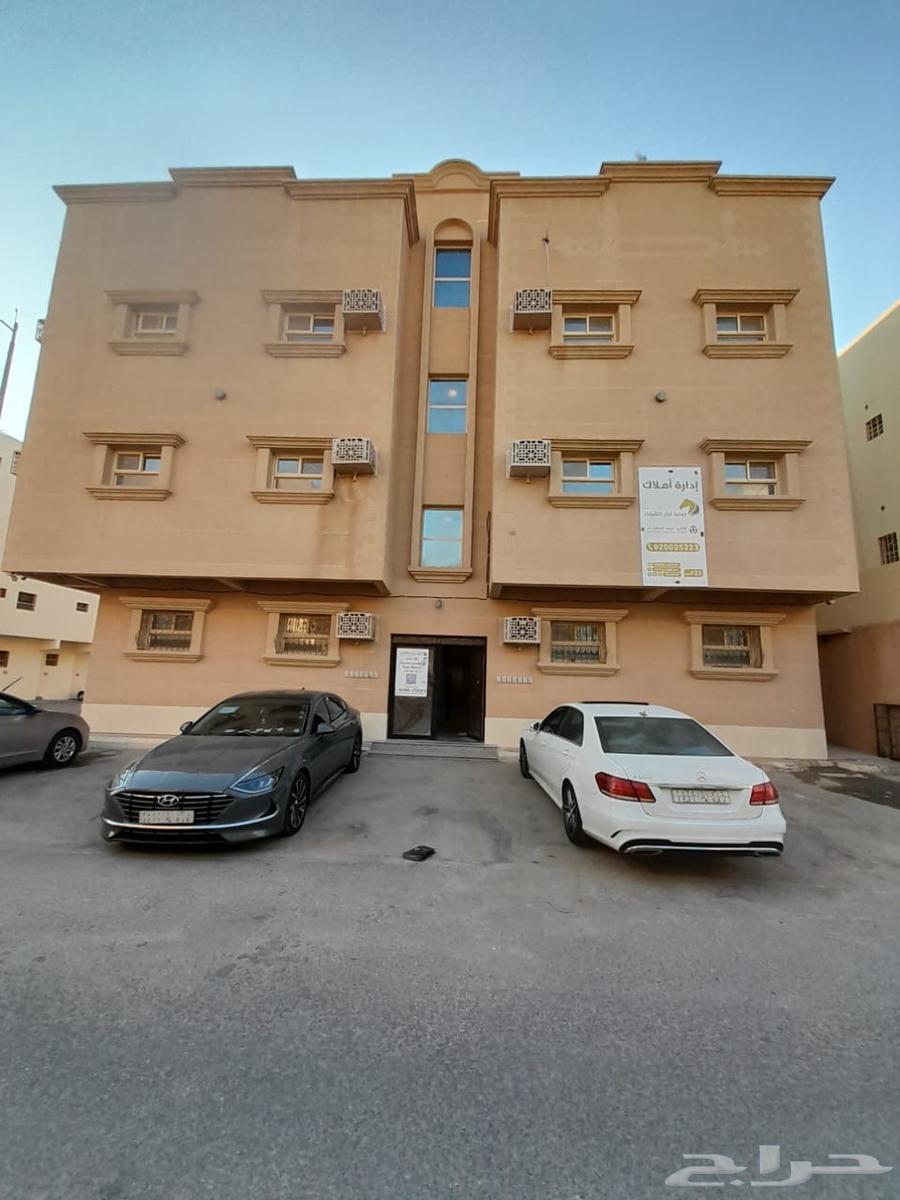 شقة للإيجار