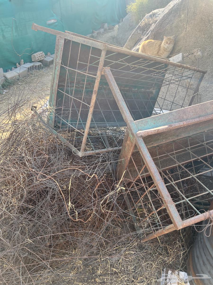 حديد شبوك وجزات واسيام64648948763521113