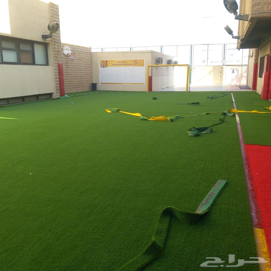 تنفيذ ملاعب كوره القدم والعشب الأرضي والجداري وبديل الخشب64648993061122112