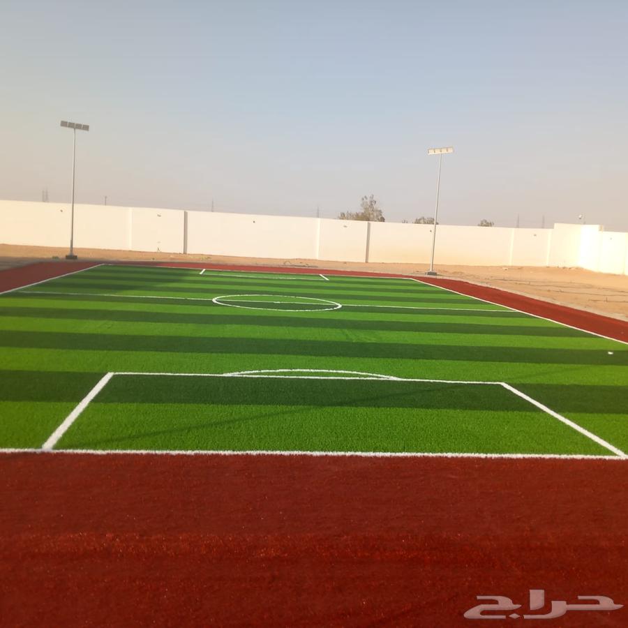 تنفيذ ملاعب كوره القدم والعشب الأرضي والجداري وبديل الخشب64648993061122110