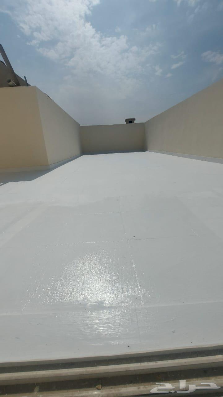 ديكورات وعوازل ودهانات64656836223874111