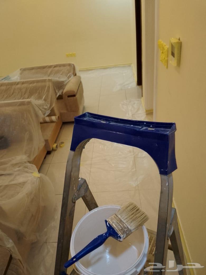 مقاول بويا جده64669214376963111