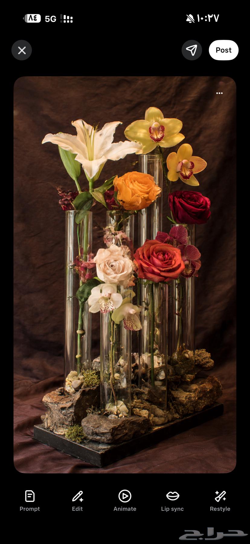 Acquire Your Artifact… Not Just a Piece64662249242370114