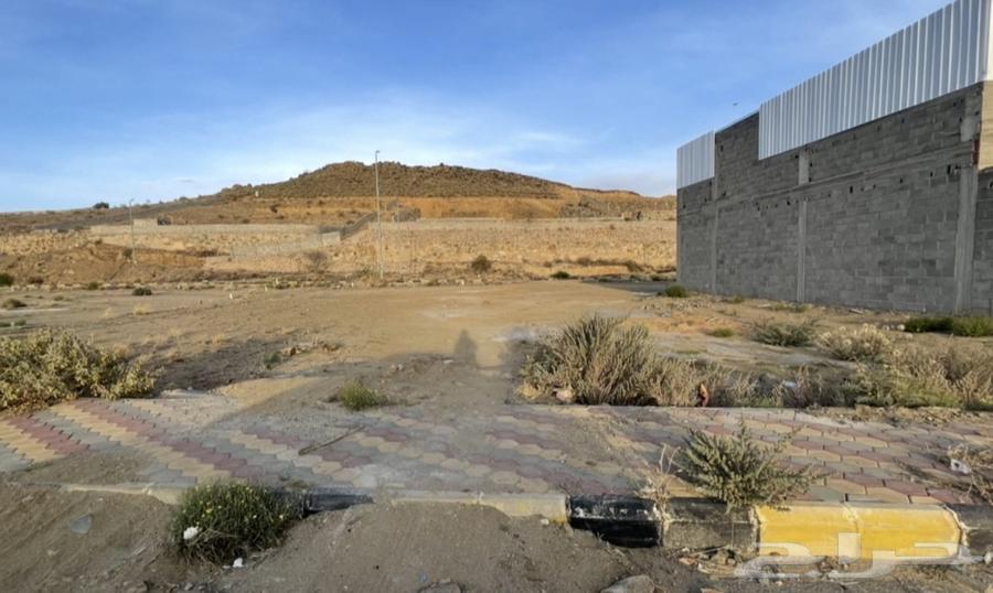 ارض صناعية للإيجار64675073993474110