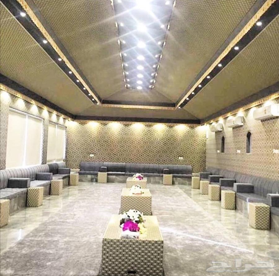 Tent decoration and installation64594244328833112