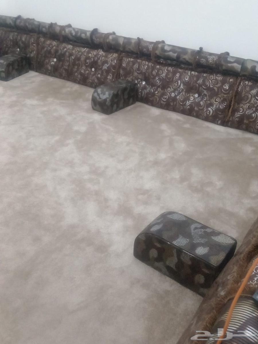 Cleaning Company in Taif - Tank, Carpet, and Sofa Cleaning in Taif64594195228417110