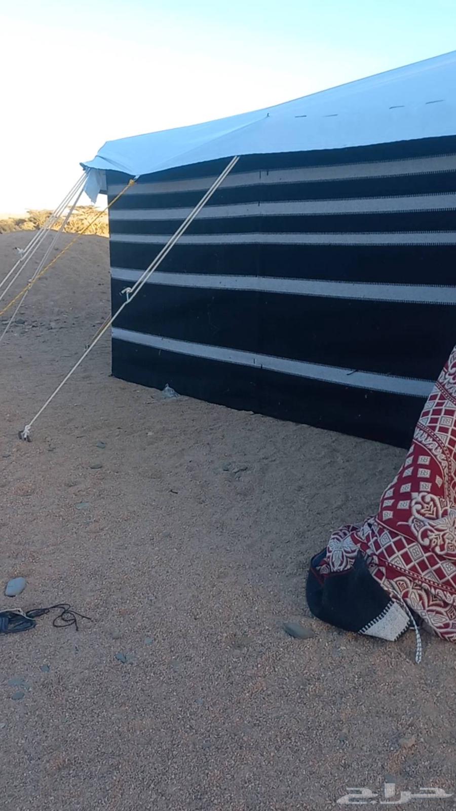 تركيب بيوت شعر والخيام64594069917315113