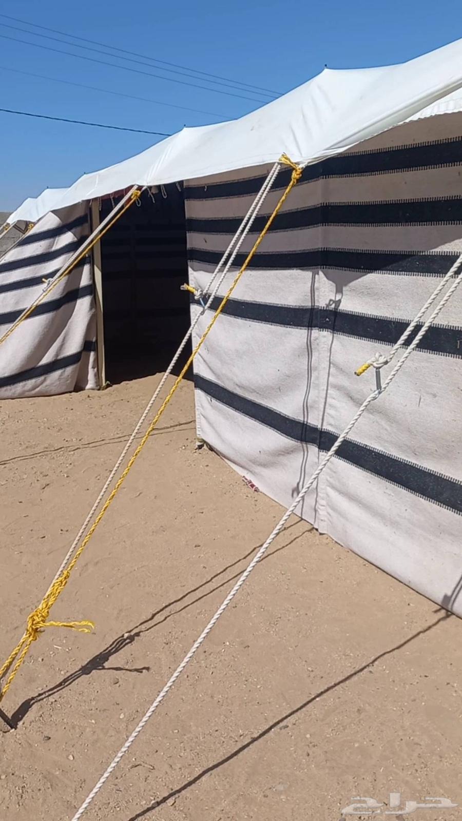 تركيب بيوت شعر والخيام64594069917315112